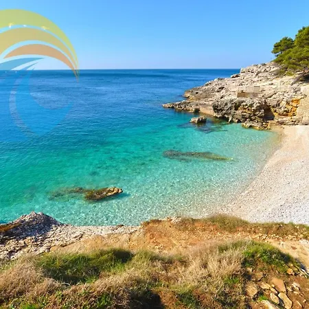 Momcilo 1995 * Πούλα