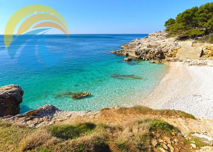 Momcilo 1995 * Πούλα