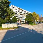 Momcilo 1995 * Pula